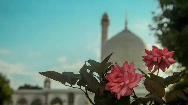 masjid rose